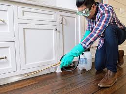 Best Real Estate Pest Inspections  in Clemson University, SC